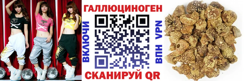 Галлюциногенные грибы прущие грибы  купить наркотик  Городец 