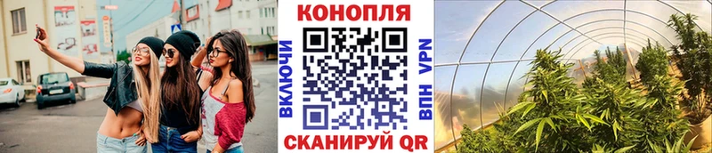 Конопля марихуана  Городец 
